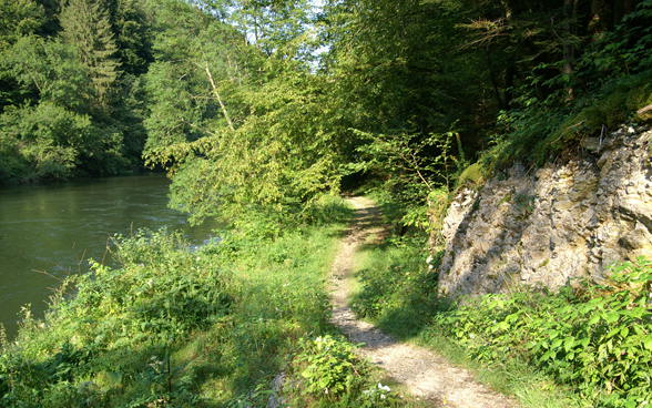 Stretto sentiero lungo il Doubs 